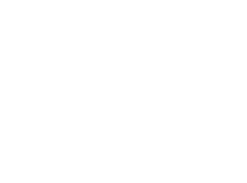 Curiositè