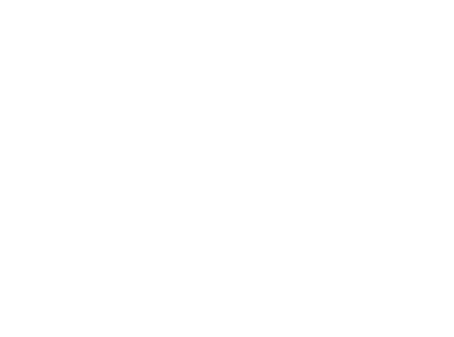 Nocerino & Partners