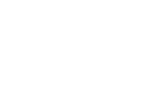 Primo Store